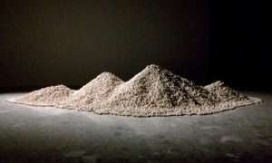 bienal nacional del paisaje