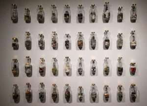 bienal nacional del paisaje