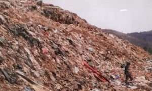 bienal nacional del paisaje